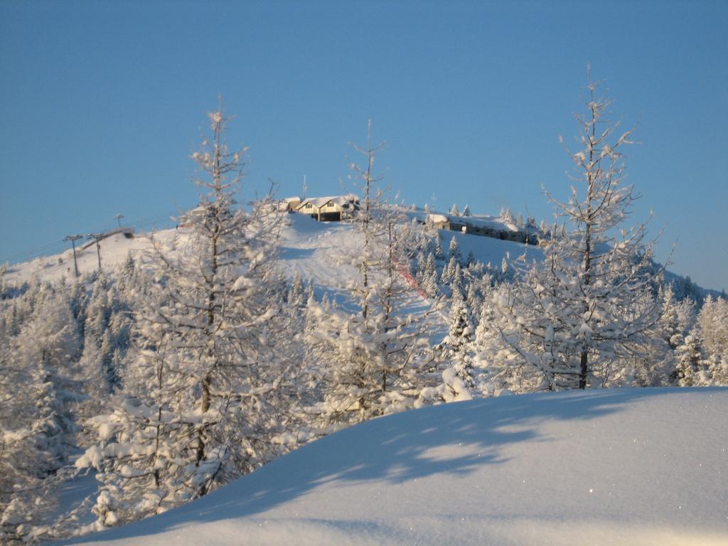 Rifugio Verenetta Casere Verena Buitenkant foto